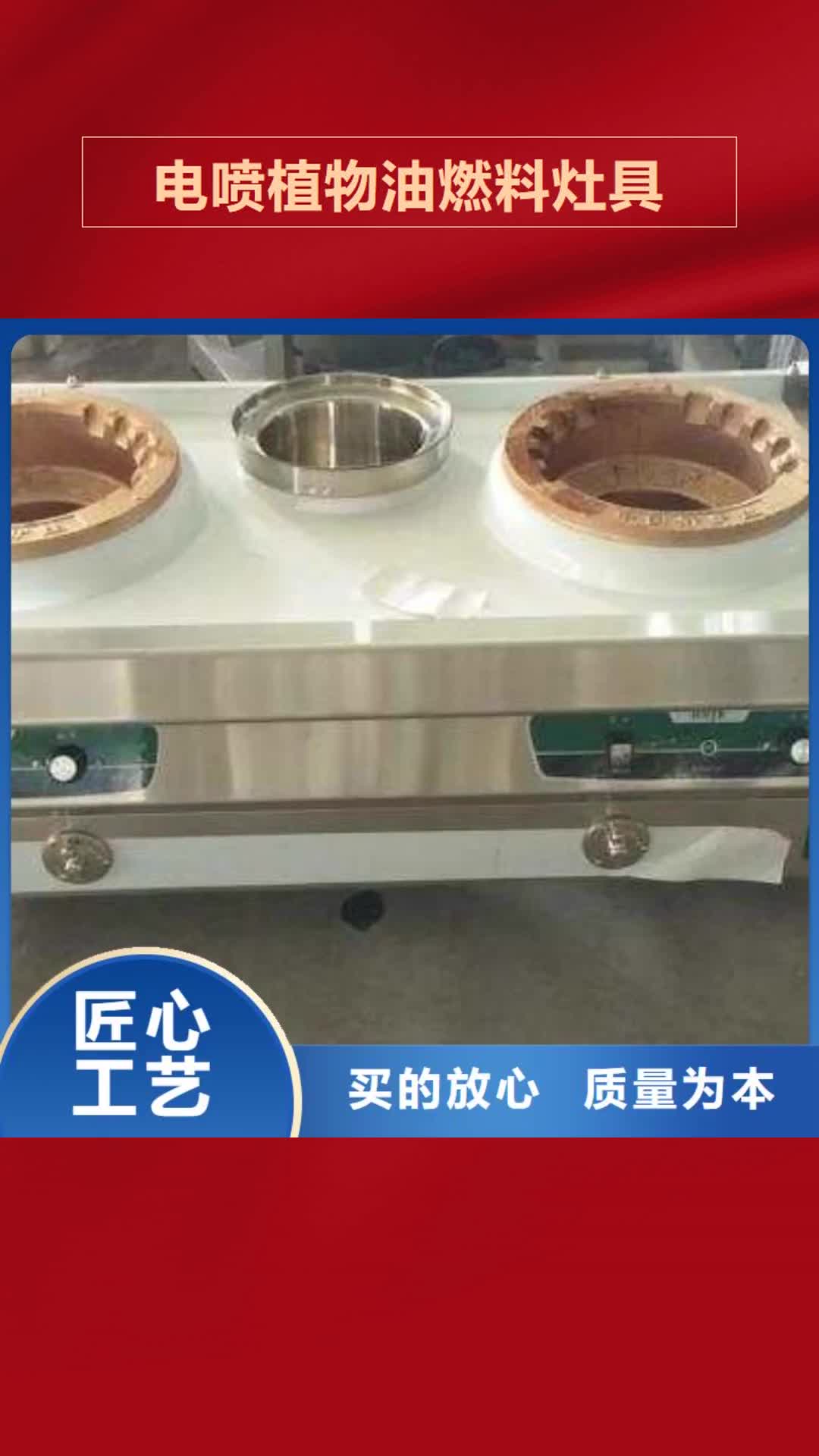 【广安 电喷植物油燃料灶具 无醇燃料油配方量大从优】