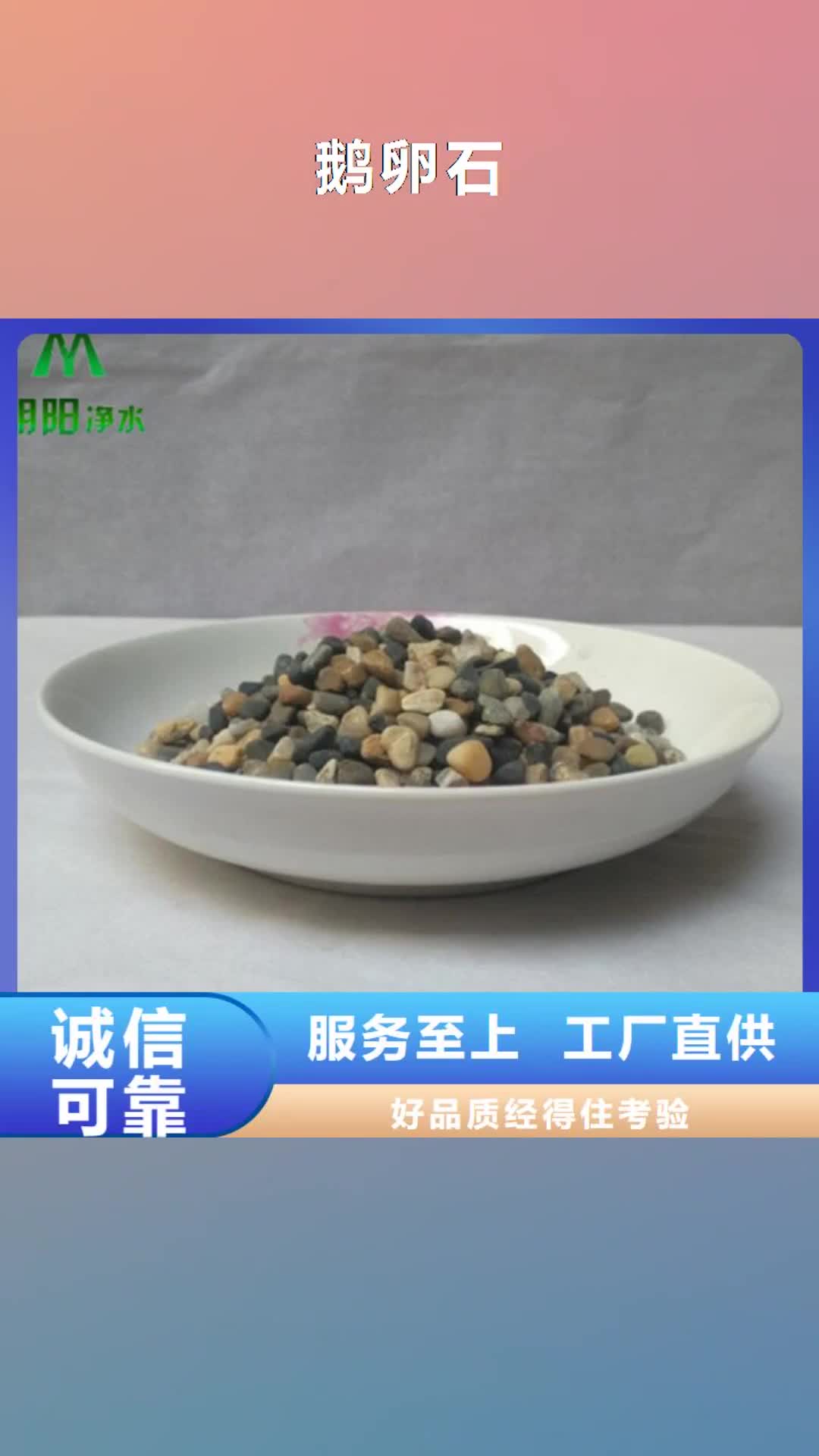 西藏【鹅卵石】,粘土生物陶粒滤料品牌大厂家