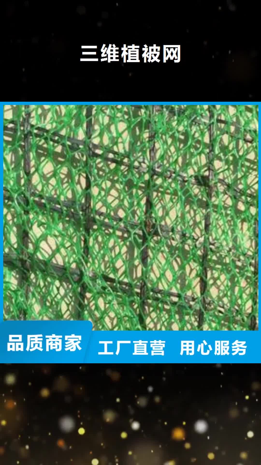 河南 三维植被网-【钢塑土工格栅】源头工厂量大优惠