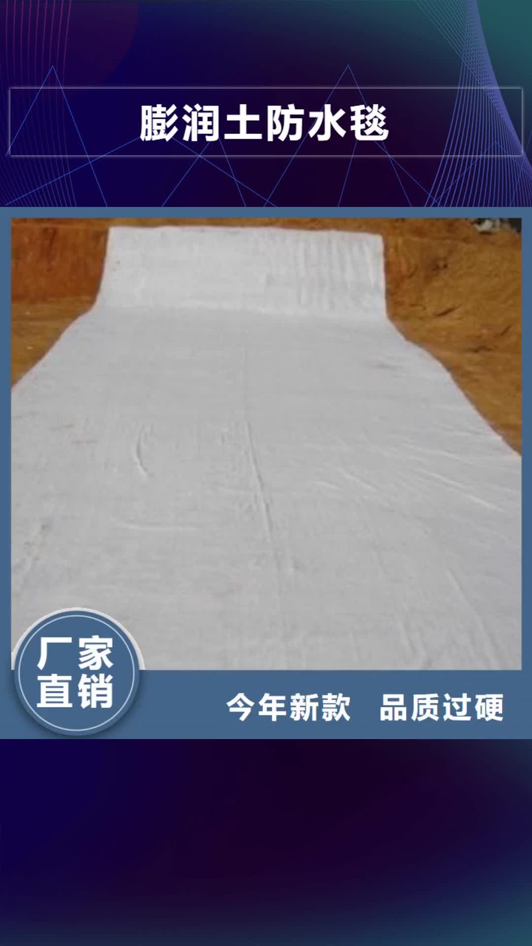 泰州【膨润土防水毯】单向拉伸塑料格栅自营品质有保障