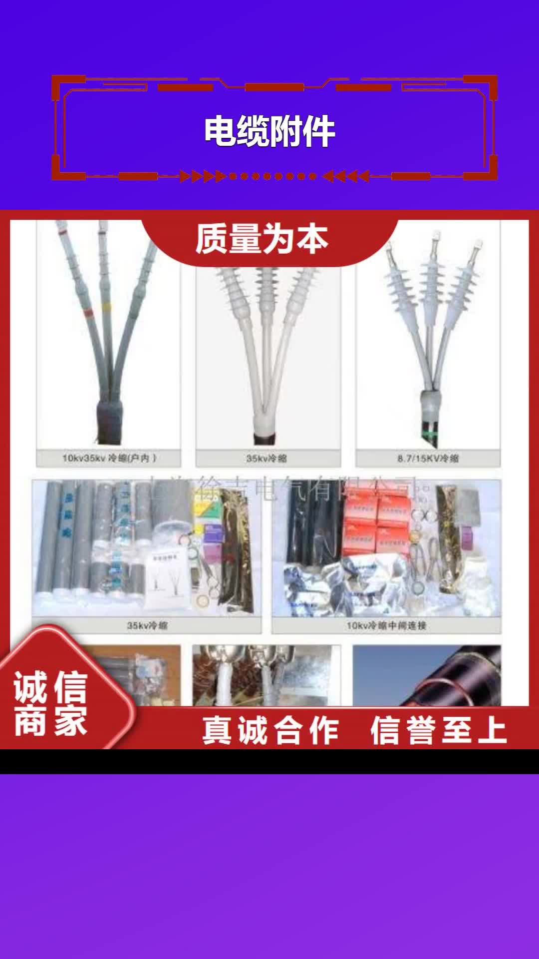 防城港电缆附件 【高压负荷开关】选择大厂家省事省心