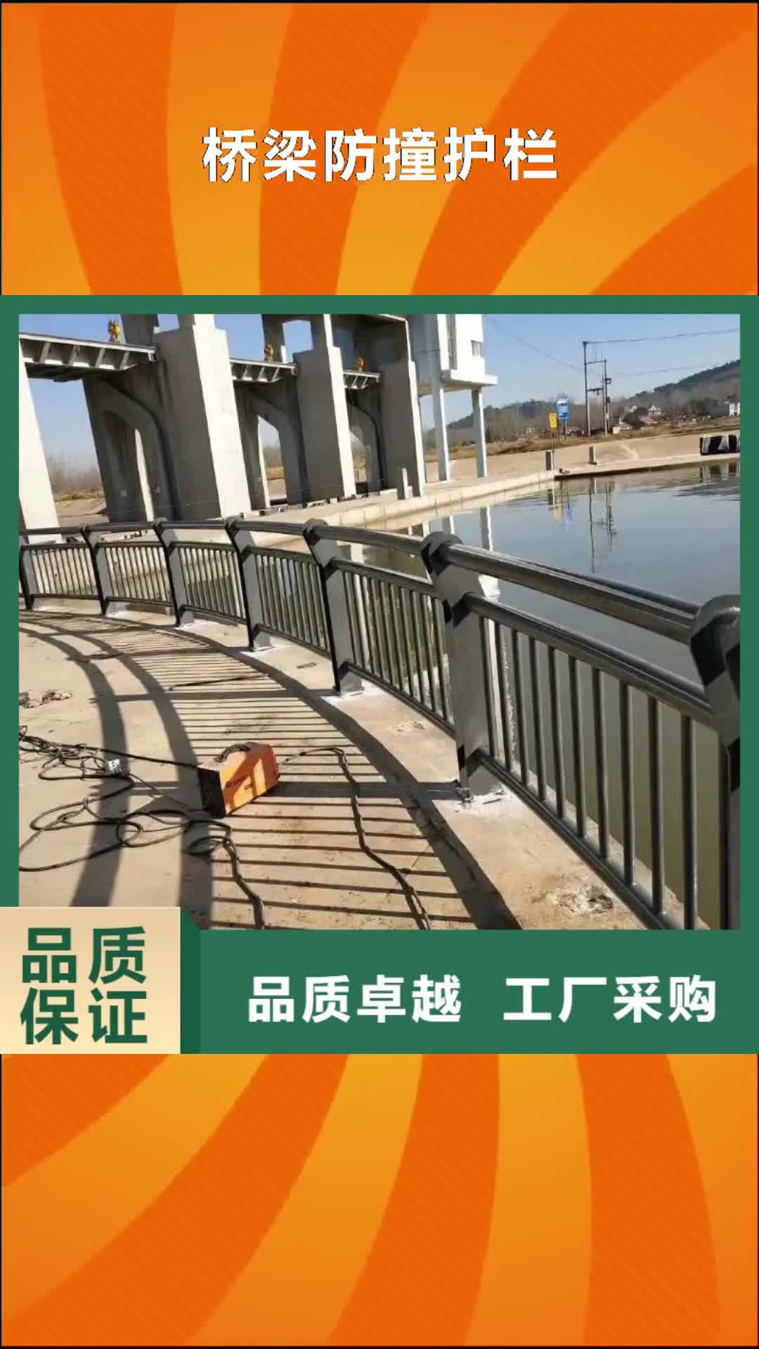 【六安 桥梁防撞护栏,城市景观防护栏热销产品】