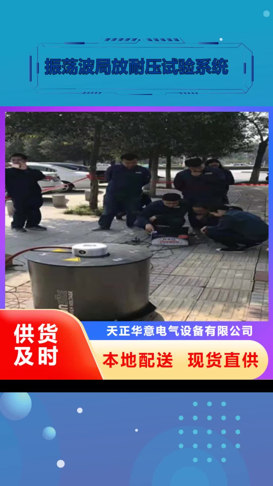 【通化 振荡波局放耐压试验系统-手持式配电终端测试仪现货充裕】