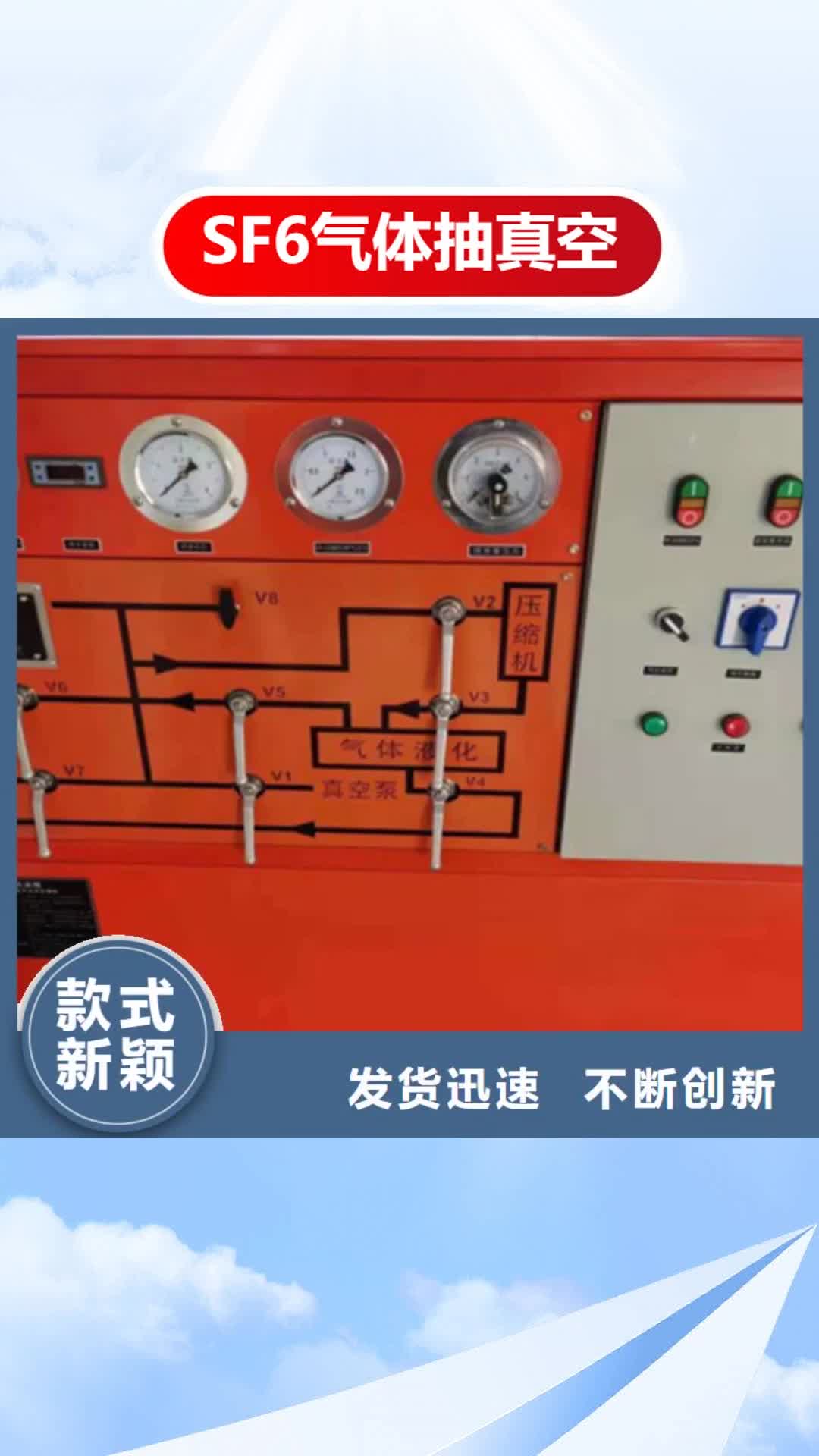 【宝鸡 SF6气体抽真空充气装置 励磁系统开环小电流测试仪厂家直销值得选择】