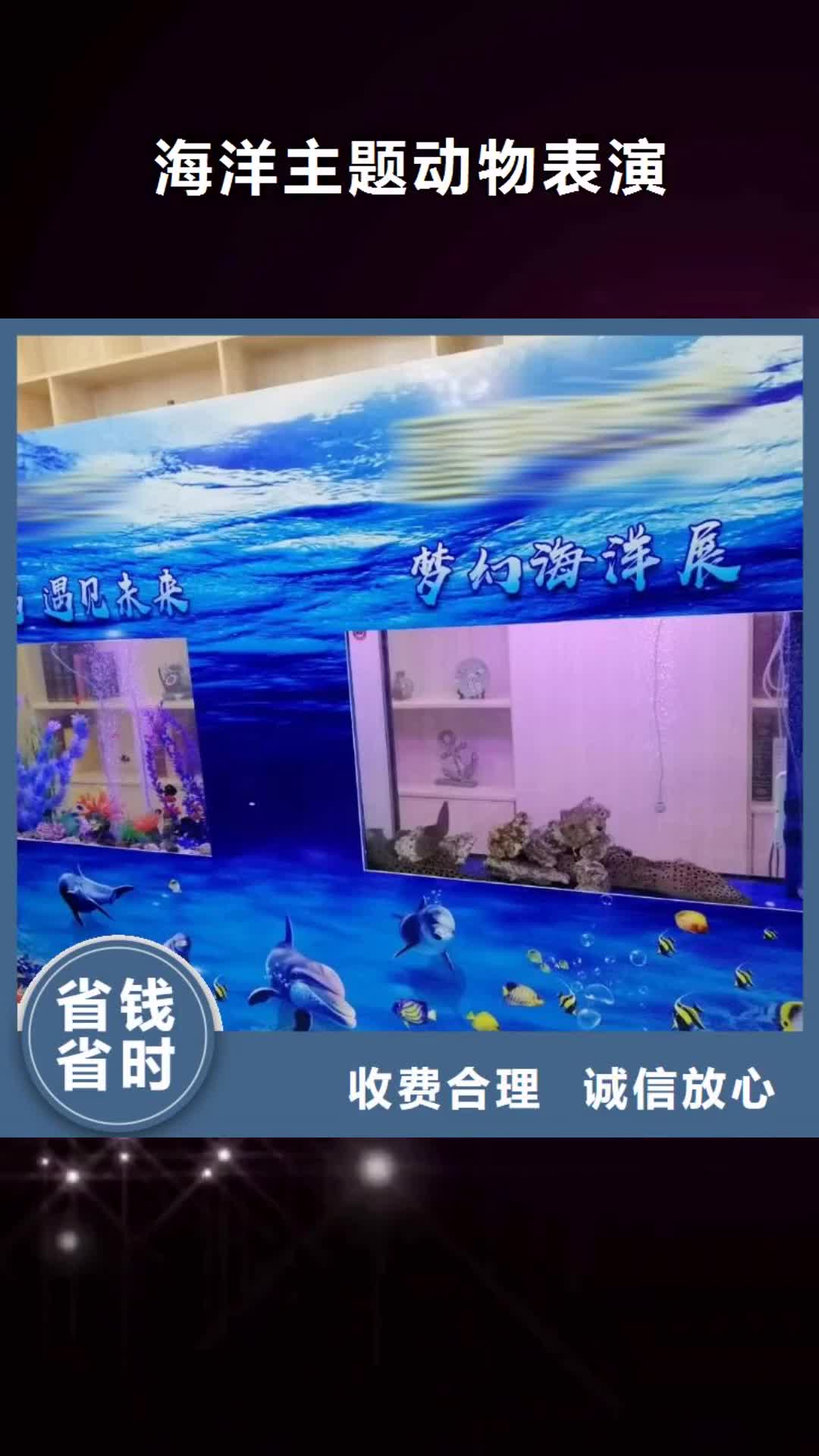 潮州【海洋主题动物表演】-海狮表演出租口碑公司