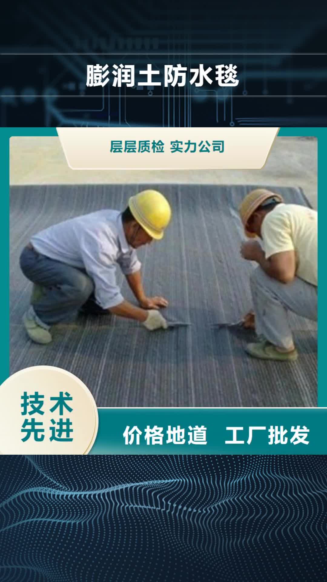 湘潭 膨润土防水毯_【高强度土工网】出货及时