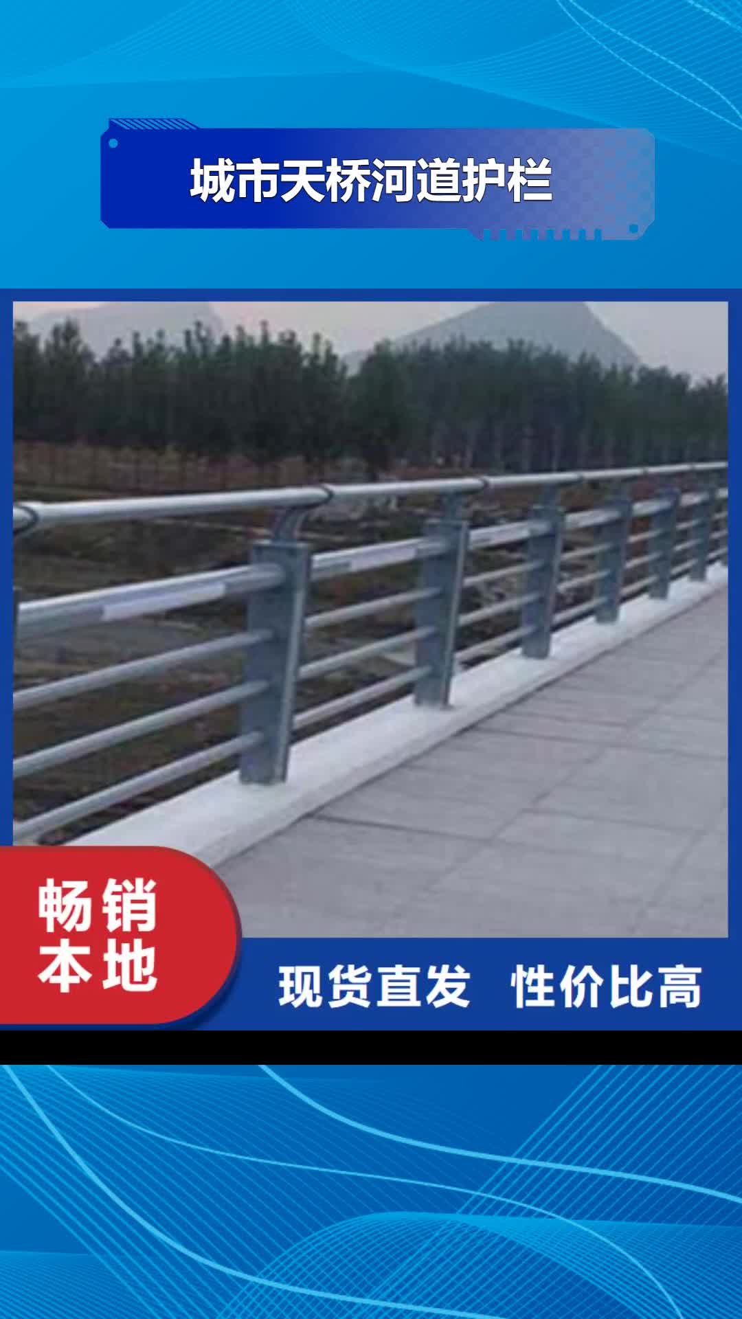 九江 城市天桥河道护栏-【桥梁护栏】用心做品质